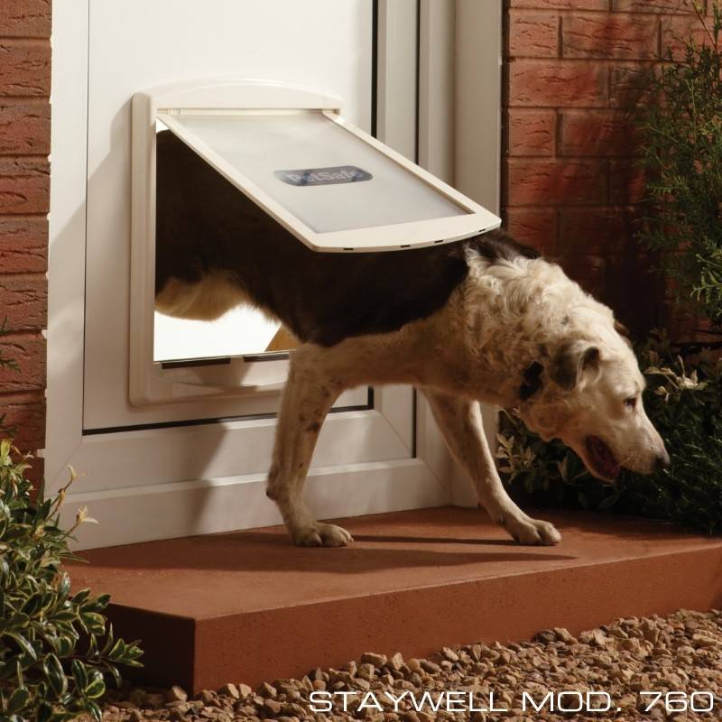 Gattaiola Per Cani gattaiole porte basculanti petsafe staywell modello 715 Gattaiola Per Cani gattaiole porte basculanti petsafe staywell modello 715